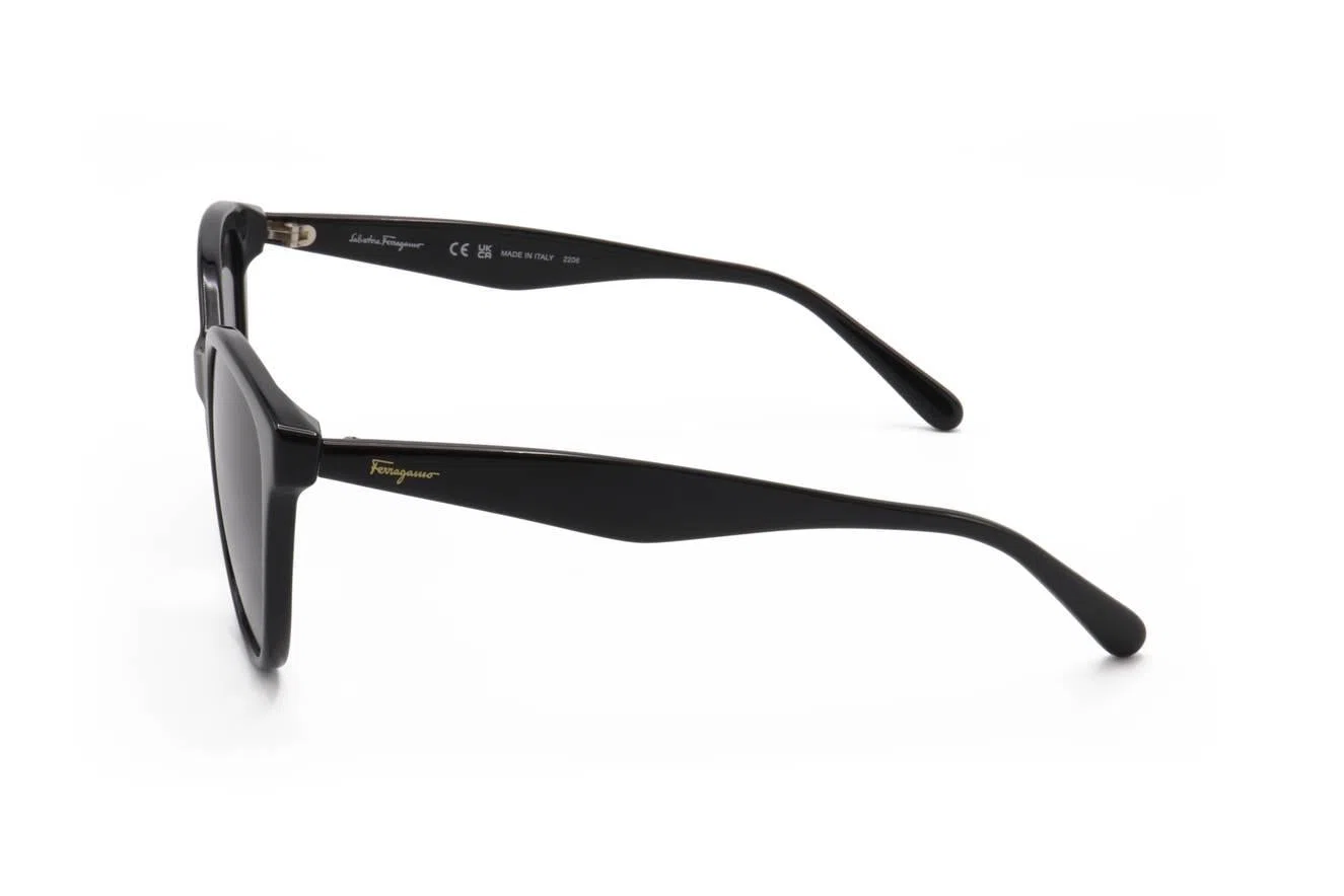 Ferragamo SF1073S Sunglasses - view 8
